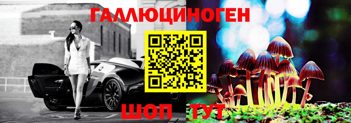 Галлюциногенные грибы Psilocybine cubensis  Псилоцибиновые грибы Psilocybe  Тавда  Вход с VPN 
